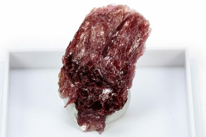 Lustrous Red Alurgite Crystal Cluster - South Africa #305478